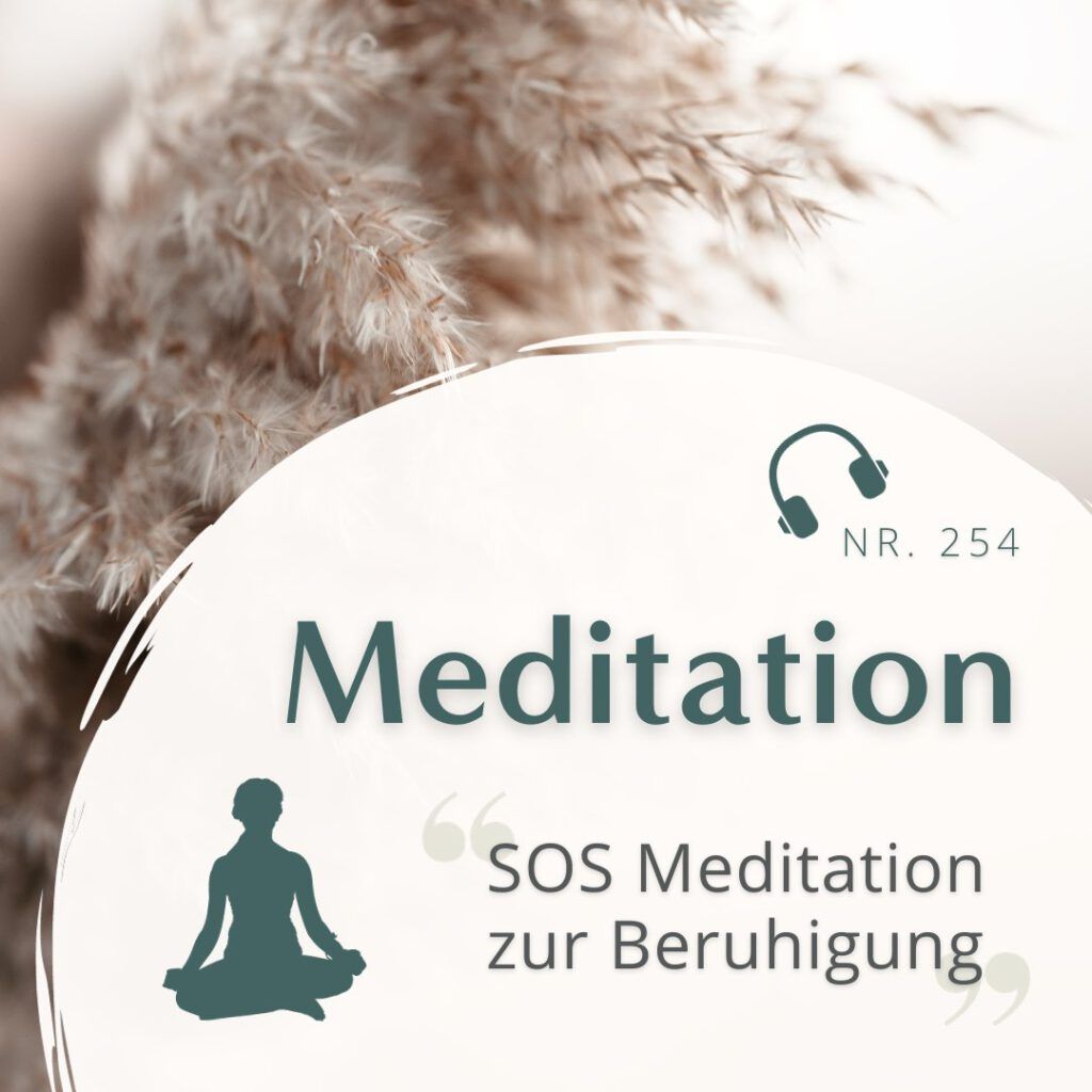 HoP Meditation Nr. 254 - SOS Meditation zur Beruhigung (1)
